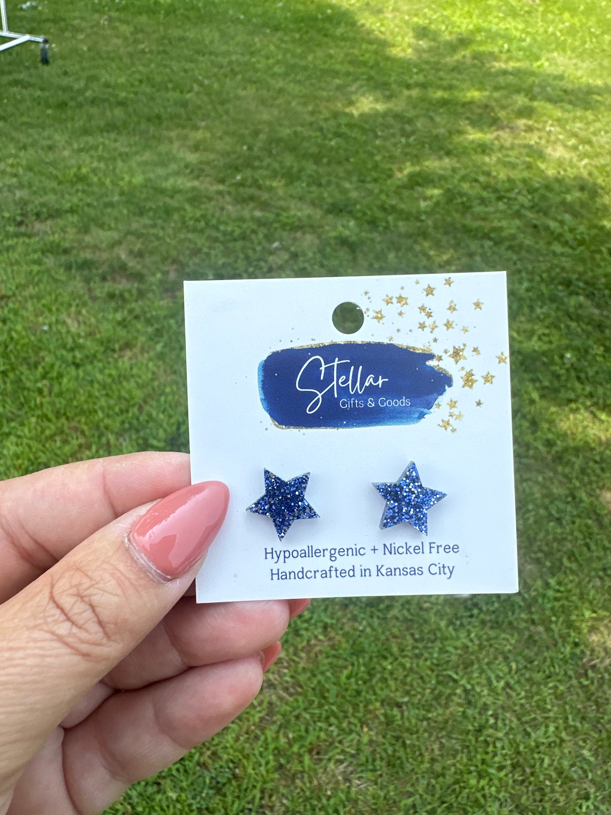NWT earrings