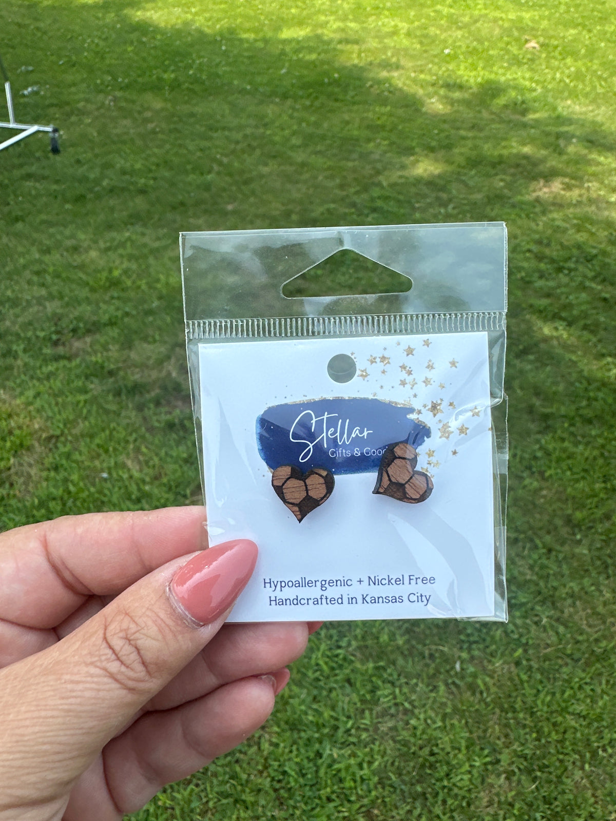 NWT earrings