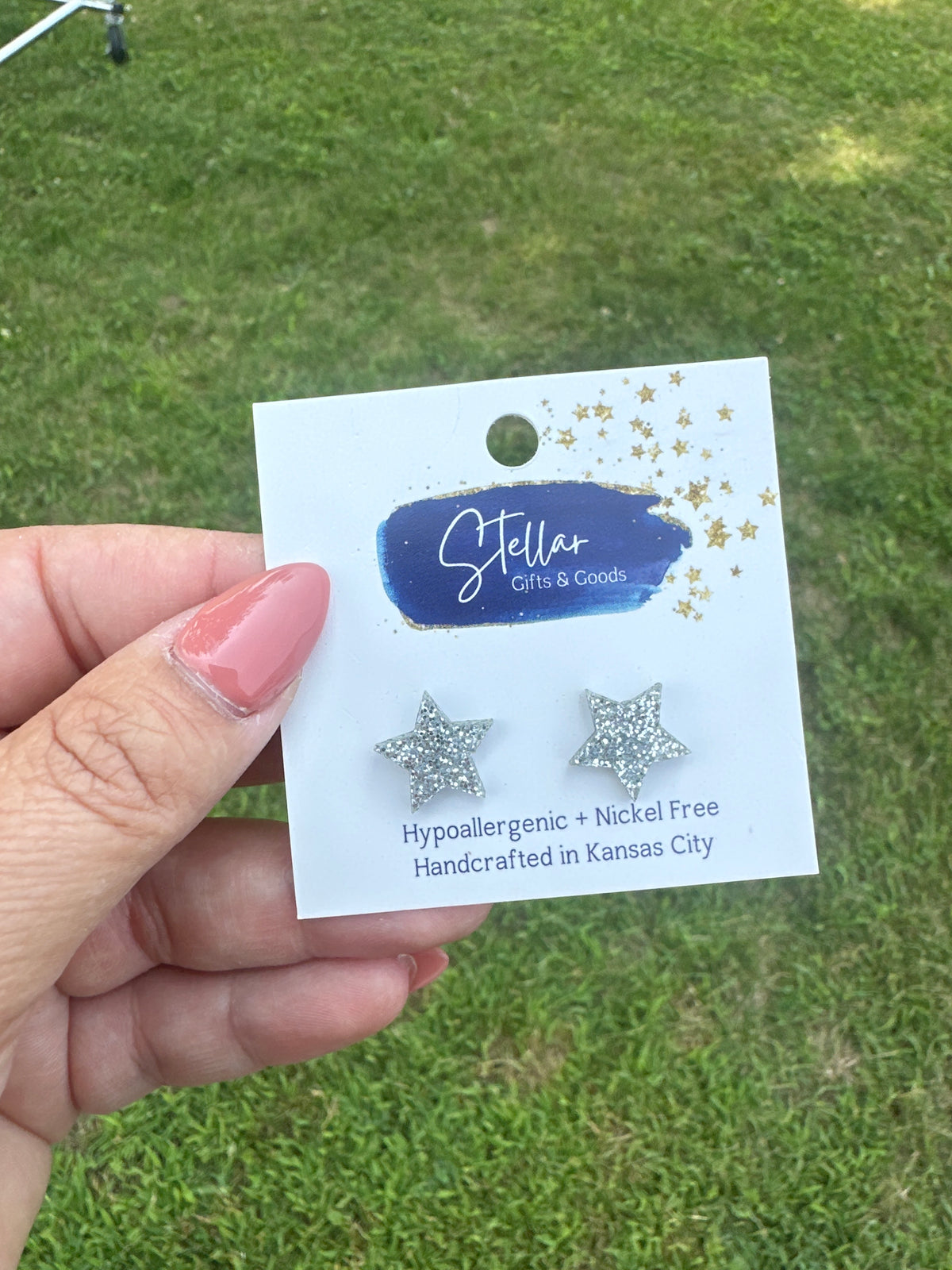 NWT earrings