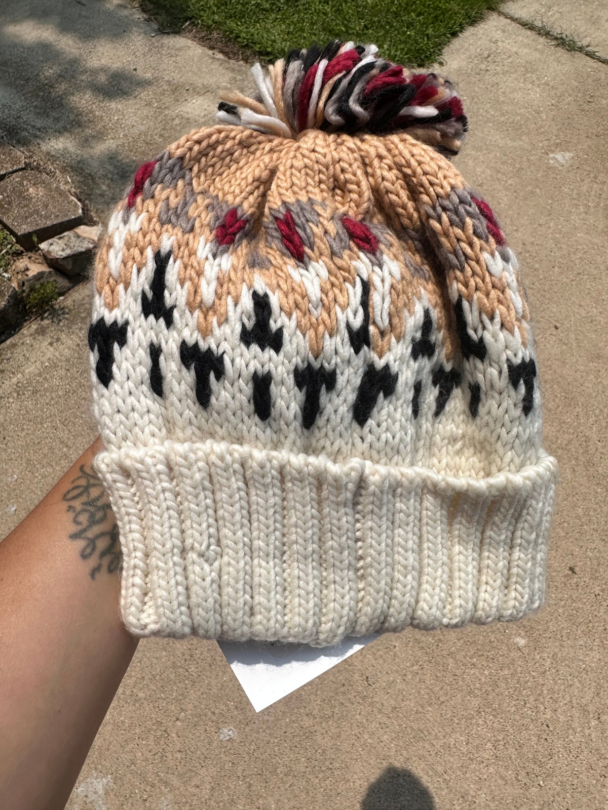NWT winter hat