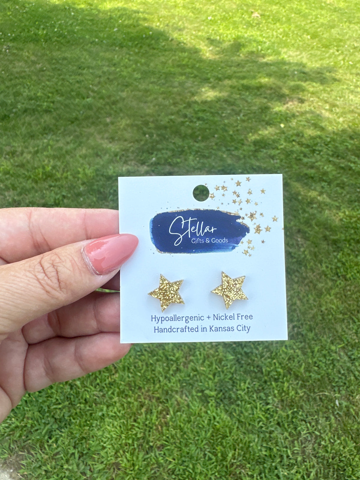NWT earrings