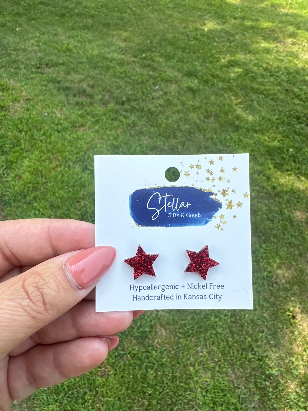 NWT earrings