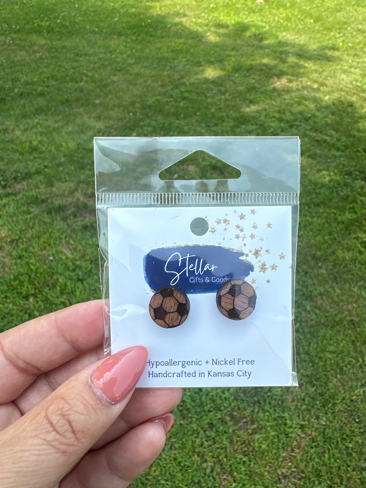 NWT earrings