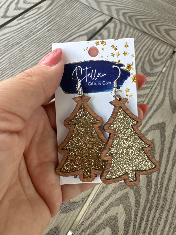 NWT earrings