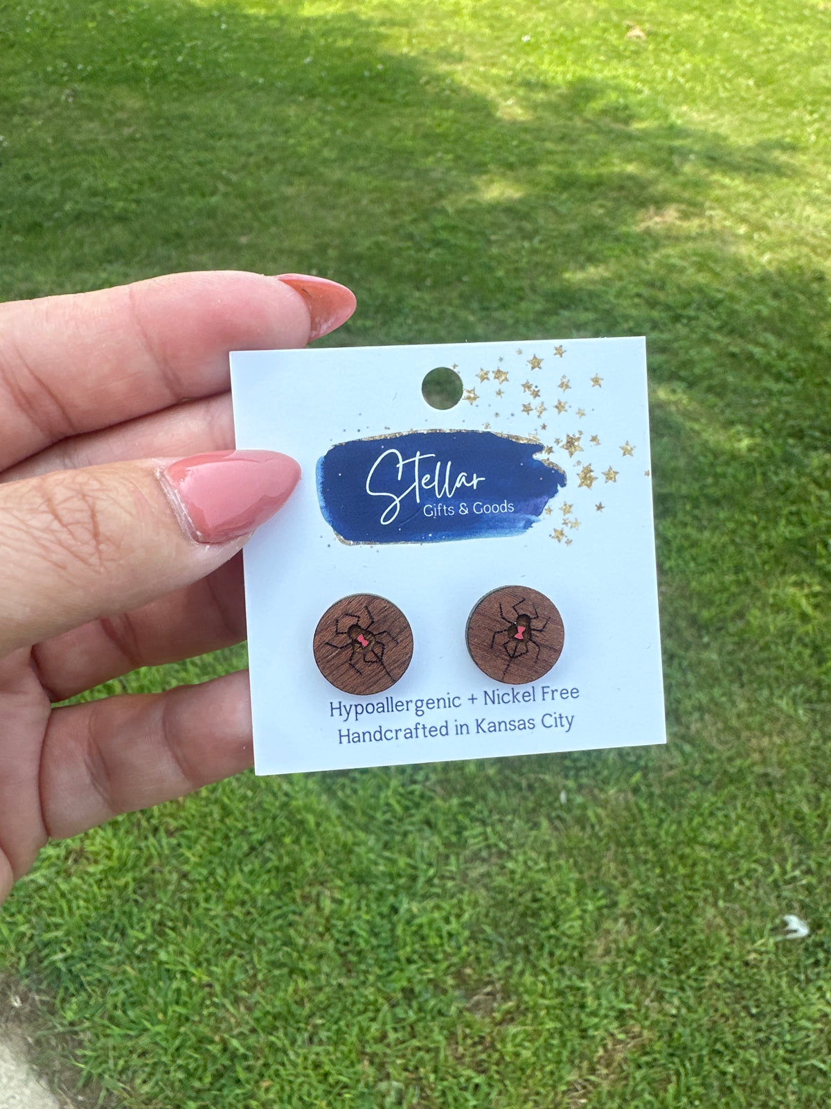 NWT earrings