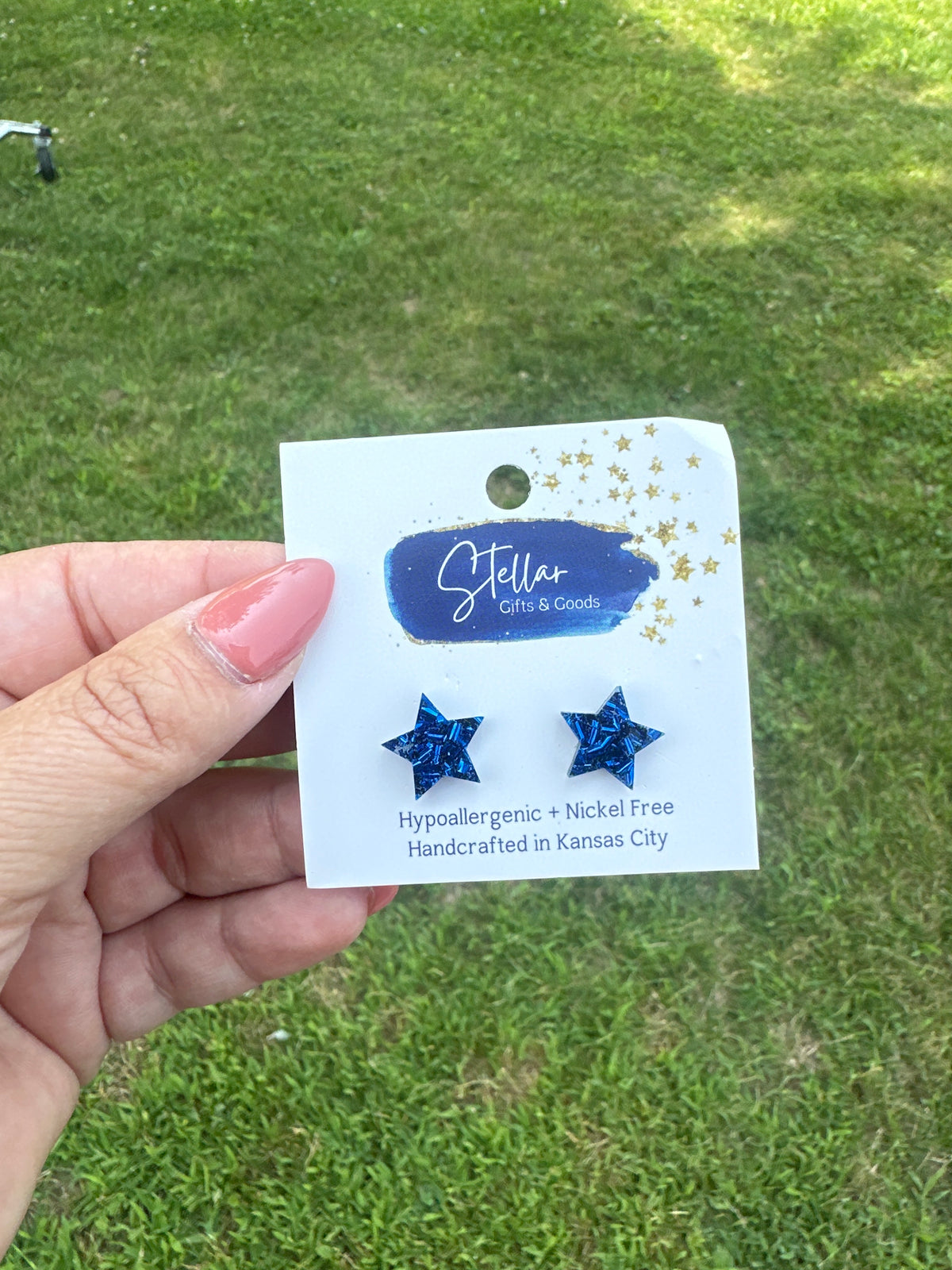 NWT earrings
